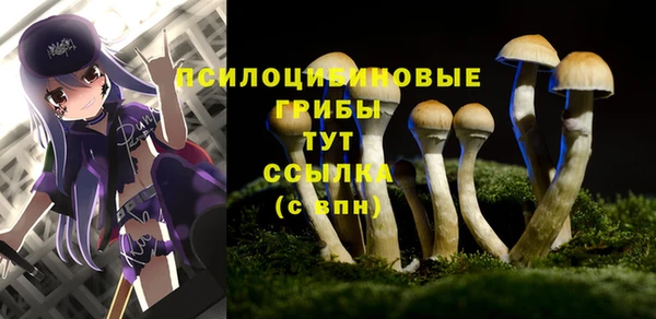 дурь Волоколамск